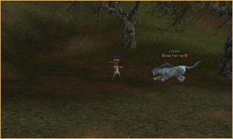 lineage 1 2017, Tiger, Wolf and a Hunter Tiger, Wolf and a Hunter, lineage 2 faction, enlightenment l2 drop