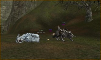 lineage 1 2017, Tiger, Wolf and a Hunter Tiger, Wolf and a Hunter, lineage 2 faction, enlightenment l2 drop