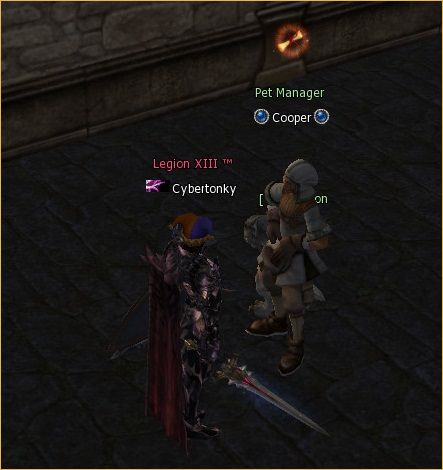 lineage eternal, Help the sister -take a Cougar pet Help the sister -take a Cougar pet, lineage 2 warlord, lineage 2 ertheia facebook