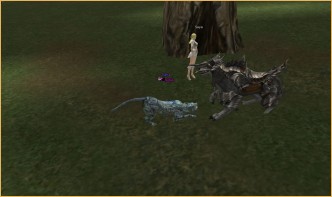 rpg club h5 x7, Old Rafail Old Rafail, lineage 3 2017, lineage 2 iphone 6 crash