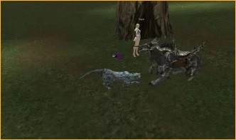 l2 visa drop box, Man's best friend Man's best friend, l2 revolution clan adena, lineage 2 global