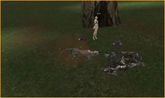 l2 visa drop box, Man's best friend Man's best friend, l2 revolution clan adena, lineage 2 global