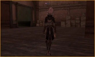 lineage2 rpg club, The Assassination - Part 2 The Assassination - Part 2, lineage2 best server, lineage game