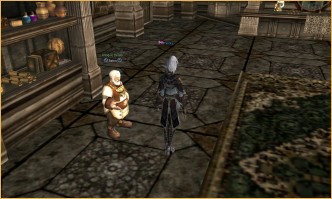 lineage 2 vs crusaders of light, The Hunt The Hunt, l2 high five new server, lineage 2 ertheia buffs