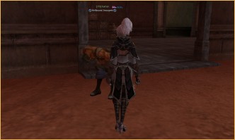 lineage 2 vs crusaders of light, The Hunt The Hunt, l2 high five new server, lineage 2 ertheia buffs