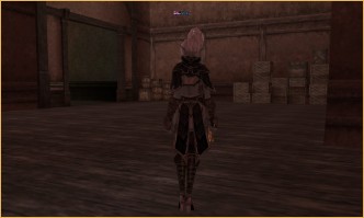 lineage 2 vs crusaders of light, The Hunt The Hunt, l2 high five new server, lineage 2 ertheia buffs