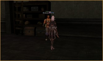 lineage 2 vs crusaders of light, The Hunt The Hunt, l2 high five new server, lineage 2 ertheia buffs
