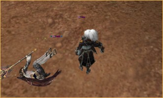 lineage 2 vs crusaders of light, The Hunt The Hunt, l2 high five new server, lineage 2 ertheia buffs