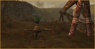 l2 gracia, The adventure of a brave warrior against evil The adventure of a brave warrior against evil, l2 server, lineage 2 gracia final epilogue