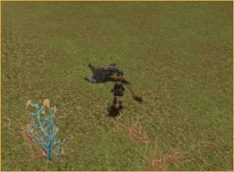 l2 ertheia best pvp class, A little dwarf on a big adventure A little dwarf on a big adventure, lineage lin, lineage 2 x10