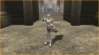 Lineage2 High Five, An Obvious Lie (quest to make a head accessory) An Obvious Lie (quest to make a head accessory), l2 high five judicator, lineage 2 classic d grade